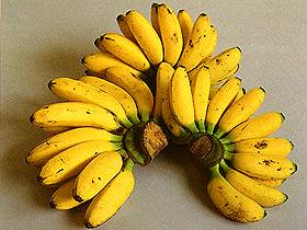  Banane 