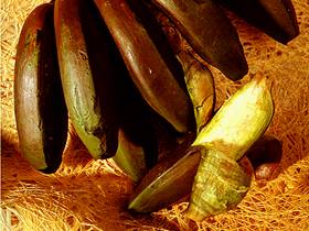  Banane 