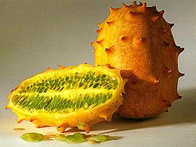  Kiwano 