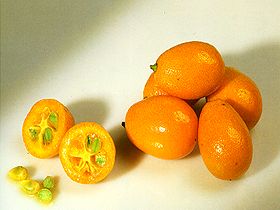  Kumquat 