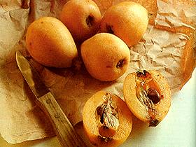  Loquat 