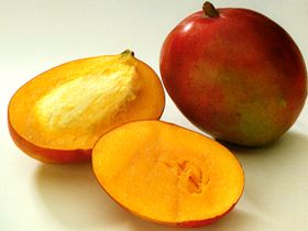  Mango 