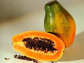  Papaya 