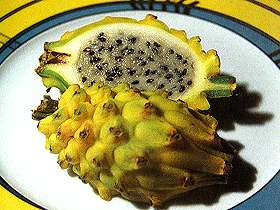  Pitahaya 