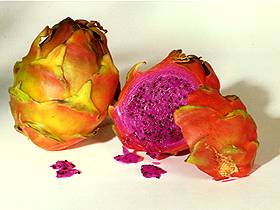  Pitahaya 