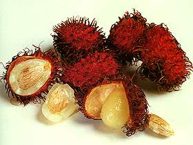  Rambutan 