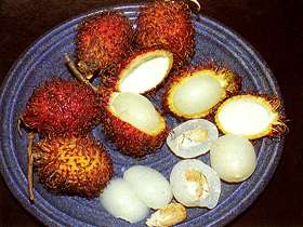  Rambutan 