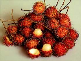  Rambutan 